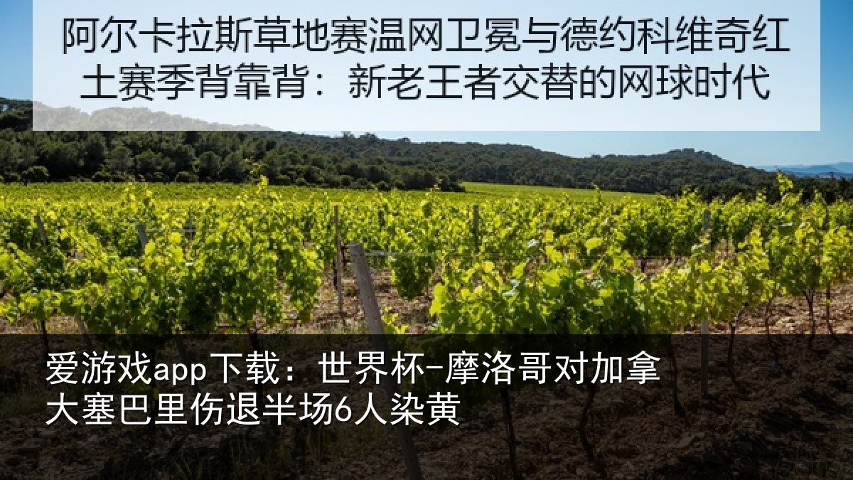 爱游戏app下载：世界杯-摩洛哥对加拿大塞巴里伤退半场6人染黄