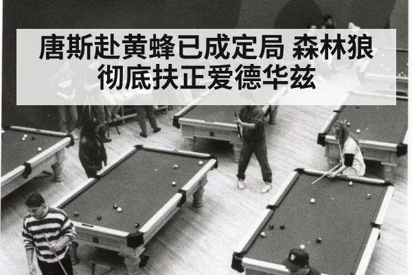 唐斯赴黄蜂已成定局 森林狼彻底扶正爱德华兹